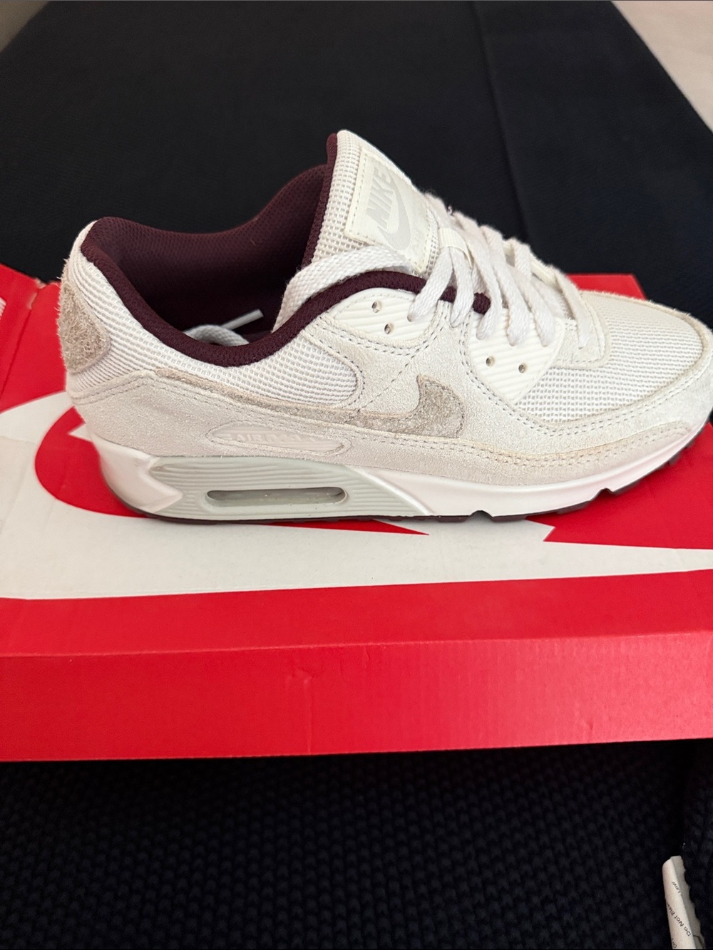 Nike White and Burgundy Air Max Low-Top Sneaker
